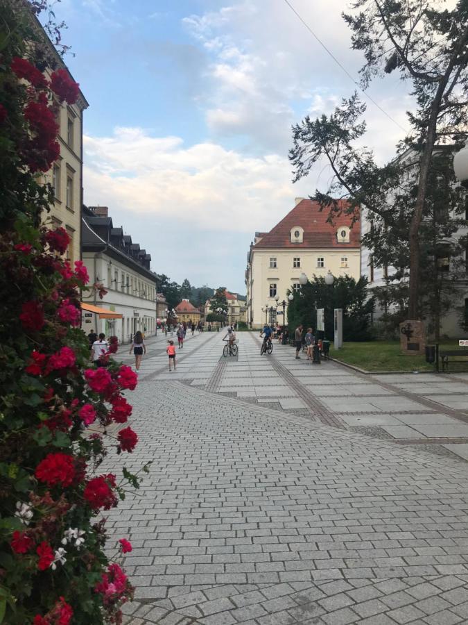 Apartament C18 Jelenia Góra Eksteriør bilde